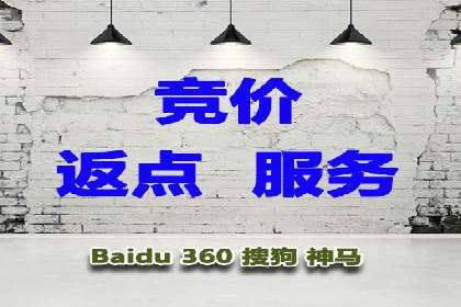 百度竞价代理操作手册：成功案例分析