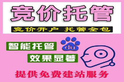 SEM代运营案例：提升网站流量与转化