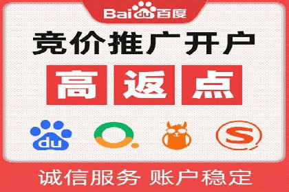托管竞价sem案例分享：某电商平台的成功之路